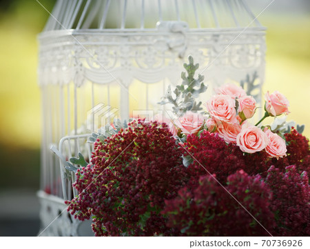 Beautiful wedding decoration of white cage and pink roses. Beautiful wedding decoration of white cage and pink roses. 70736926