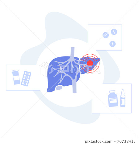 Liver Template Concept 70738413