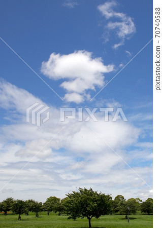 Clouds like question marks 70740588