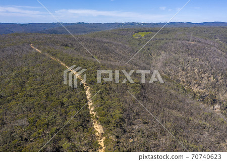 Aerial view of a dirt track running through forest in regional New South Wales in Australia Aerial view of a dirt track running through forest in regional New South Wales in Australia 70740623