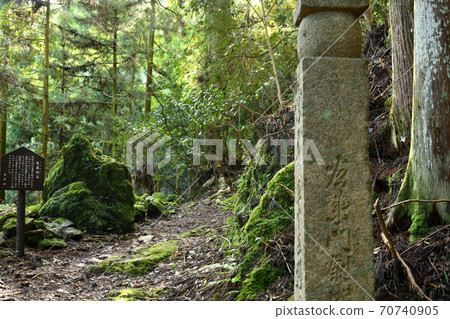 高野山町石路的劍形石和55町石 70740905