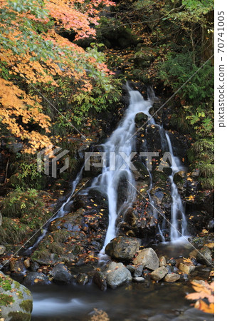 Shigure Falls (Autumn Leaves Teruha Gorge) Shigure Falls (Autumn Leaves Teruha Gorge) 70741005