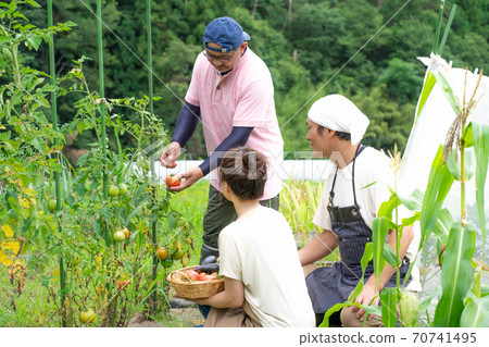 Agricultural experience 70741495