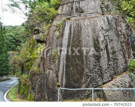 Dinosaur footprints "Ripple marks" 70742023