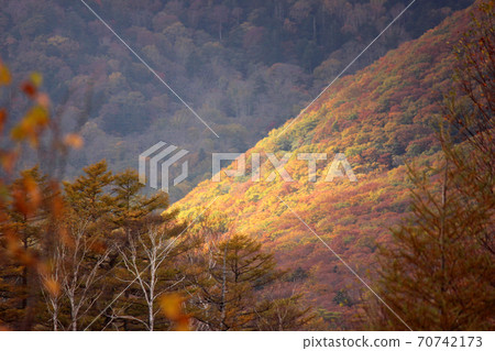 秋天在戰場加原（3） 70742173