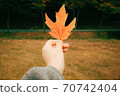 A woman's hand holding a maple leaf in autumn 70742404