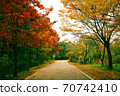 An autumn forest full of colorful autumn leaves 70742410
