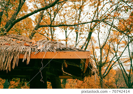 秋天的小屋 秋天的小屋 70742414