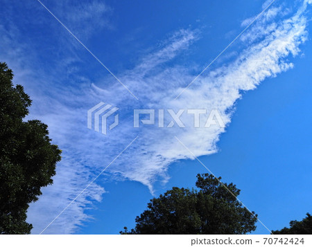 秋雲 秋雲 70742424