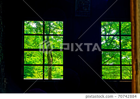 Green windowsill Green windowsill 70742884