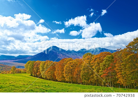 Autumn in a hurry Hakkoda Autumn in a hurry Hakkoda 70742938