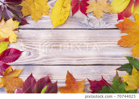 Colorful fall maple leaves on rustic wooden background. Life cycle of fall leaf. Thanksgiving holidays concept. Green, yellow and red autumn leaves. Top view, copy space Colorful fall maple leaves on rustic wooden background. Life cycle of fall leaf. Thanksgiving holidays concept. Green, yellow and red autumn leaves. Top view, copy space 70744025