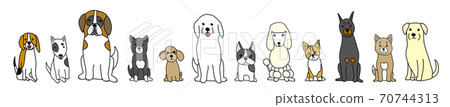 12 kinds of dogs 12 kinds of dogs 70744313