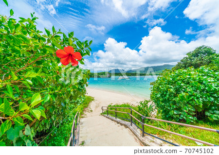 Hibiscus and Kawahira Bay 70745102