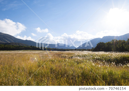 Nagahara in autumn 70746154