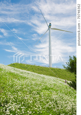 Beautiful mountain landscape, blue sky over hillside meadow 027 Beautiful mountain landscape, blue sky over hillside meadow 027 70746362