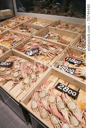 Coconut crab Coconut crab 70746490