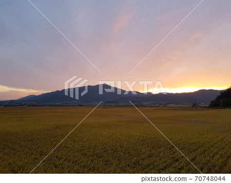Yeongam-gun, Wolchulsan, rice, morning, sunrise Yeongam-gun, Wolchulsan, rice, morning, sunrise 70748044