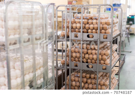 Super backyard Super backyard 70748187