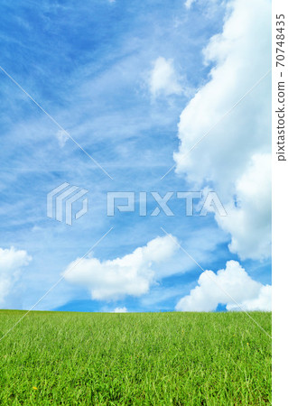 Summer blue sky and beautiful meadow landscape 70748435