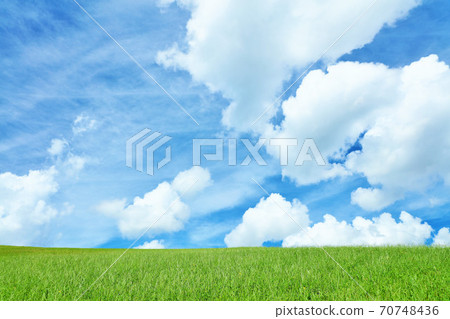 Summer blue sky and beautiful meadow landscape 70748436