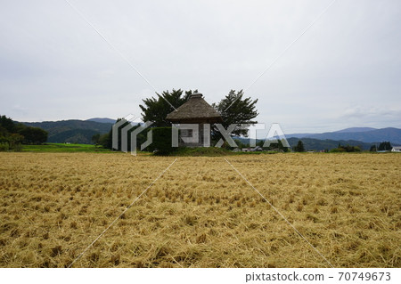 Tono Autumn Aragami Shrine Tono Autumn Aragami Shrine 70749673