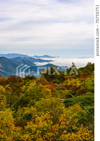 栗駒山和雲海的秋葉 70750751