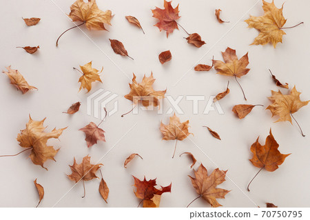 Autumn composition. Dried leaves on biege background. Top view. Flat lay. 70750795
