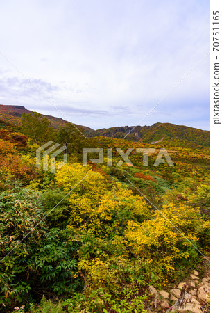 Autumn leaves of Mt. Kurikoma 70751165