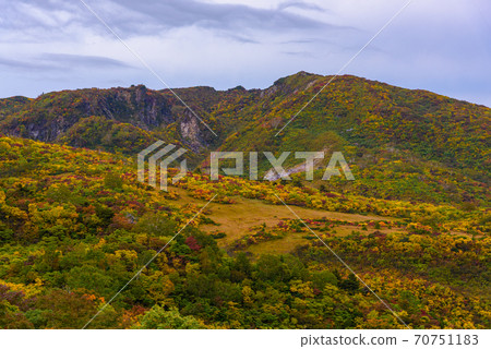 栗駒山遺蹟的秋葉 栗駒山遺蹟的秋葉 70751183