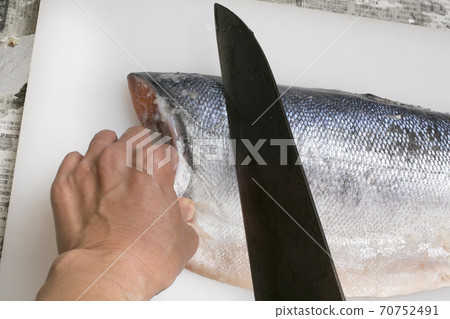 Judge a whole salt salmon 70752491
