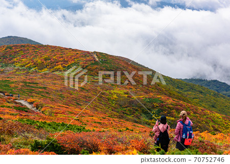 栗駒山神的地毯 70752746