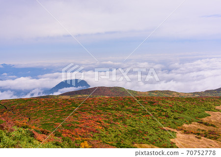 栗駒山神的地毯 70752778
