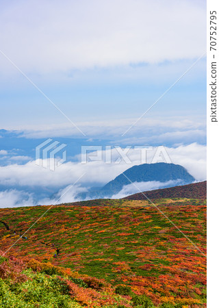 Carpet of the god of Mt. Kurikoma 70752795