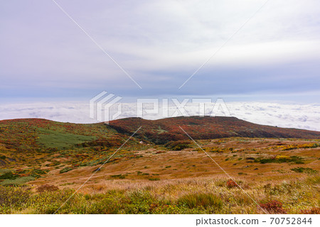 栗駒山神的地毯 栗駒山神的地毯 70752844