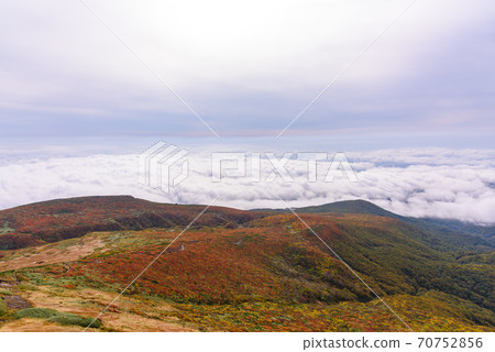 Carpet of the god of Mt. Kurikoma 70752856