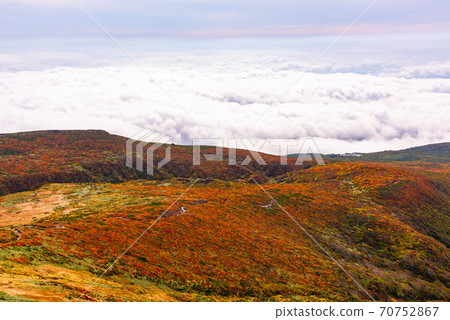 栗駒山神的地毯 栗駒山神的地毯 70752867