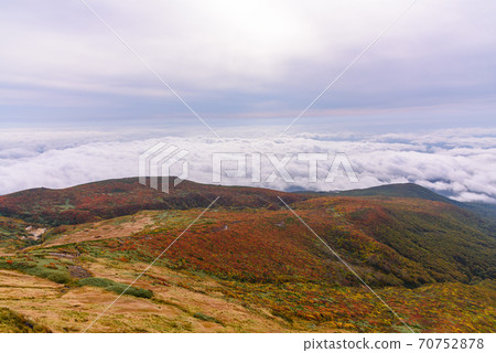Carpet of the god of Mt. Kurikoma Carpet of the god of Mt. Kurikoma 70752878