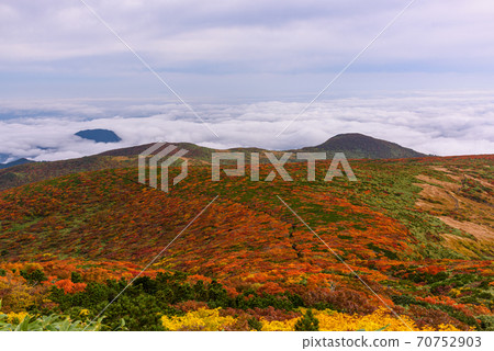 Carpet of the god of Mt. Kurikoma Carpet of the god of Mt. Kurikoma 70752903