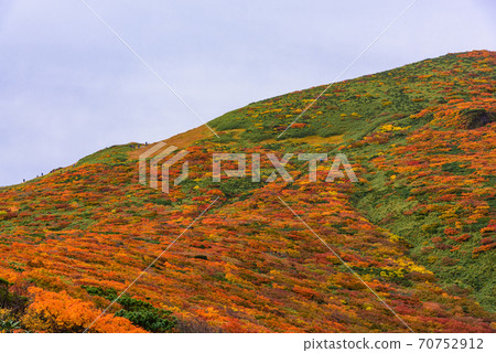 栗駒山神的地毯 70752912