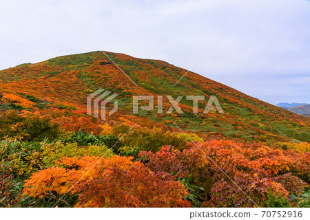Carpet of the god of Mt. Kurikoma 70752916