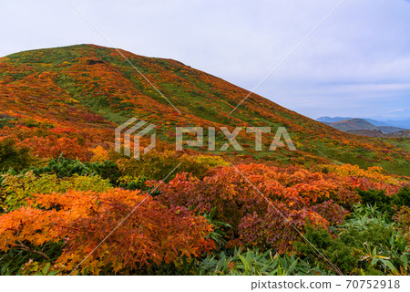 Carpet of the god of Mt. Kurikoma 70752918