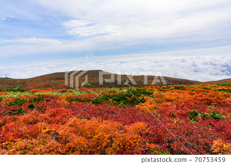 Autumn leaves of Mt. Kurikoma 70753459