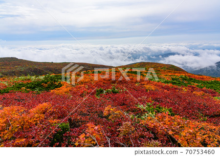 Autumn leaves of Mt. Kurikoma Autumn leaves of Mt. Kurikoma 70753460