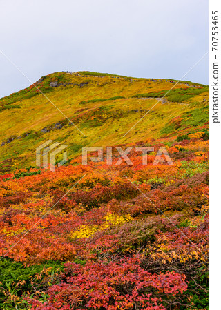 Autumn leaves of Mt. Kurikoma Autumn leaves of Mt. Kurikoma 70753465