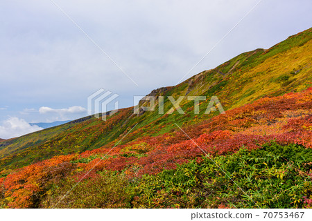 Autumn leaves of Mt. Kurikoma Autumn leaves of Mt. Kurikoma 70753467