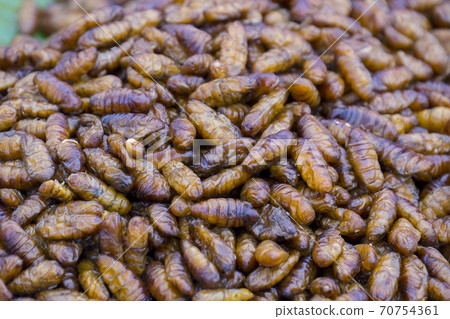 Fried insects 70754361