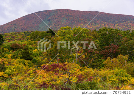 Mt. Kurikoma秋葉 70754931