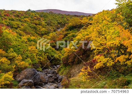 Autumn leaves of Mt. Kurikoma 70754963