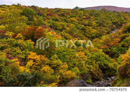 Autumn leaves of Mt. Kurikoma Autumn leaves of Mt. Kurikoma 70754970
